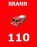 110 - Brann